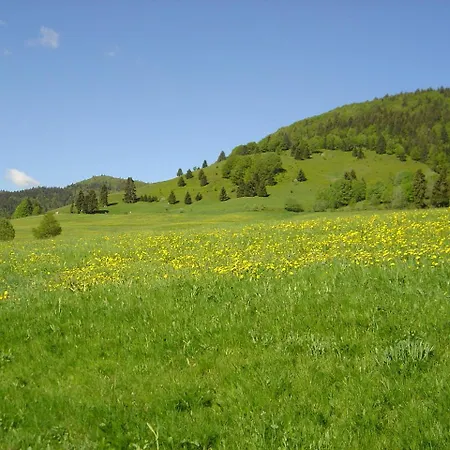 2 Panoramablick - Neu Incl 3-weltencard Mit 140 Kostenlosen Attraktionen Apartamento Bernau im Schwarzwald