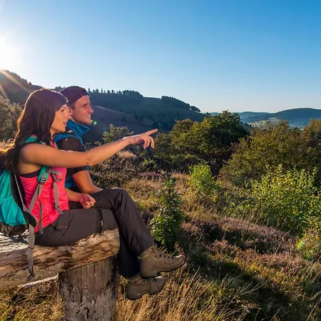 2 Panoramablick - Neu Incl 3-weltencard Mit 140 Kostenlosen Attraktionen * Bernau im Schwarzwald